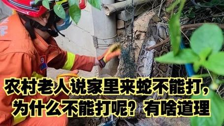 家里有蛇可以报警吗110给119打电话抓蛇抓蛇为什么叫119不能叫110吗