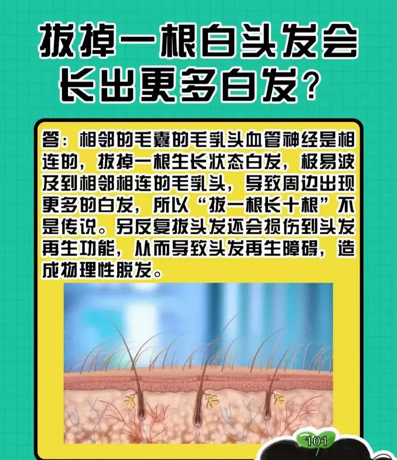 白头发会越拔越多吗？原因是什么冒出白头发千万别拔掉拔1根长10根啊……，白头发能不能拔，会越拔越多吗