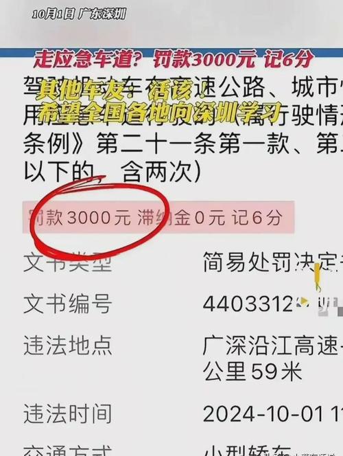 应急车道停车是不是违规男子在应急车道停车请出手打交警应急车道停车怎么处罚 硬盘