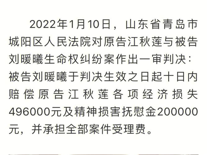 你们看过《追风筝的人》吗江歌妈妈诈捐称江歌妈妈失独骗局 win7